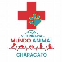 Veterinaria Mundo Animal Characato