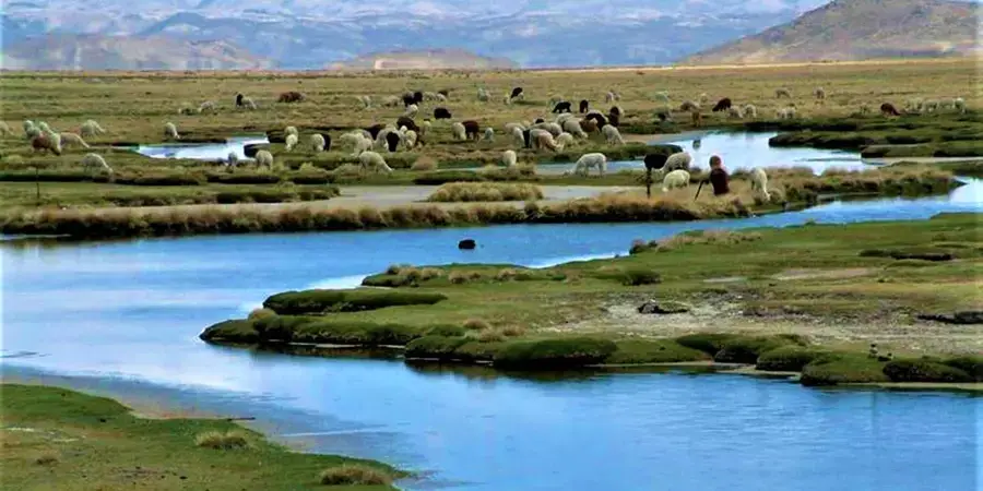 Reserva Nacional Salinas y Aguada Blanca